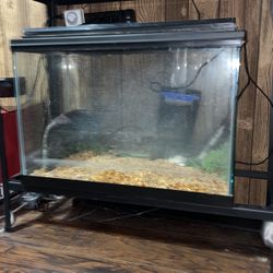 15 Gallon Tank With Accessories 