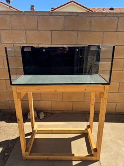 Innovative Marine Saltwater Nuvo Fusion Pro 40 Gallon Long aquarium.