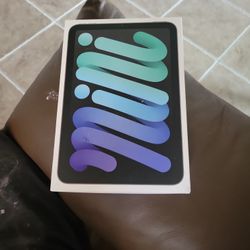 New Ipad Mini