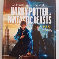 HARRY POTTER & FANTASTIC BEASTS