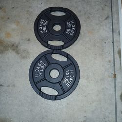 Iron Metal 2.25 Weights 
