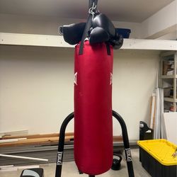 Everlast Punching Bag with Stand