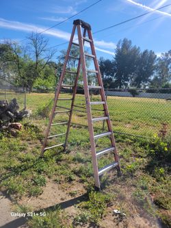 Fiberglass Ladder 10 ft