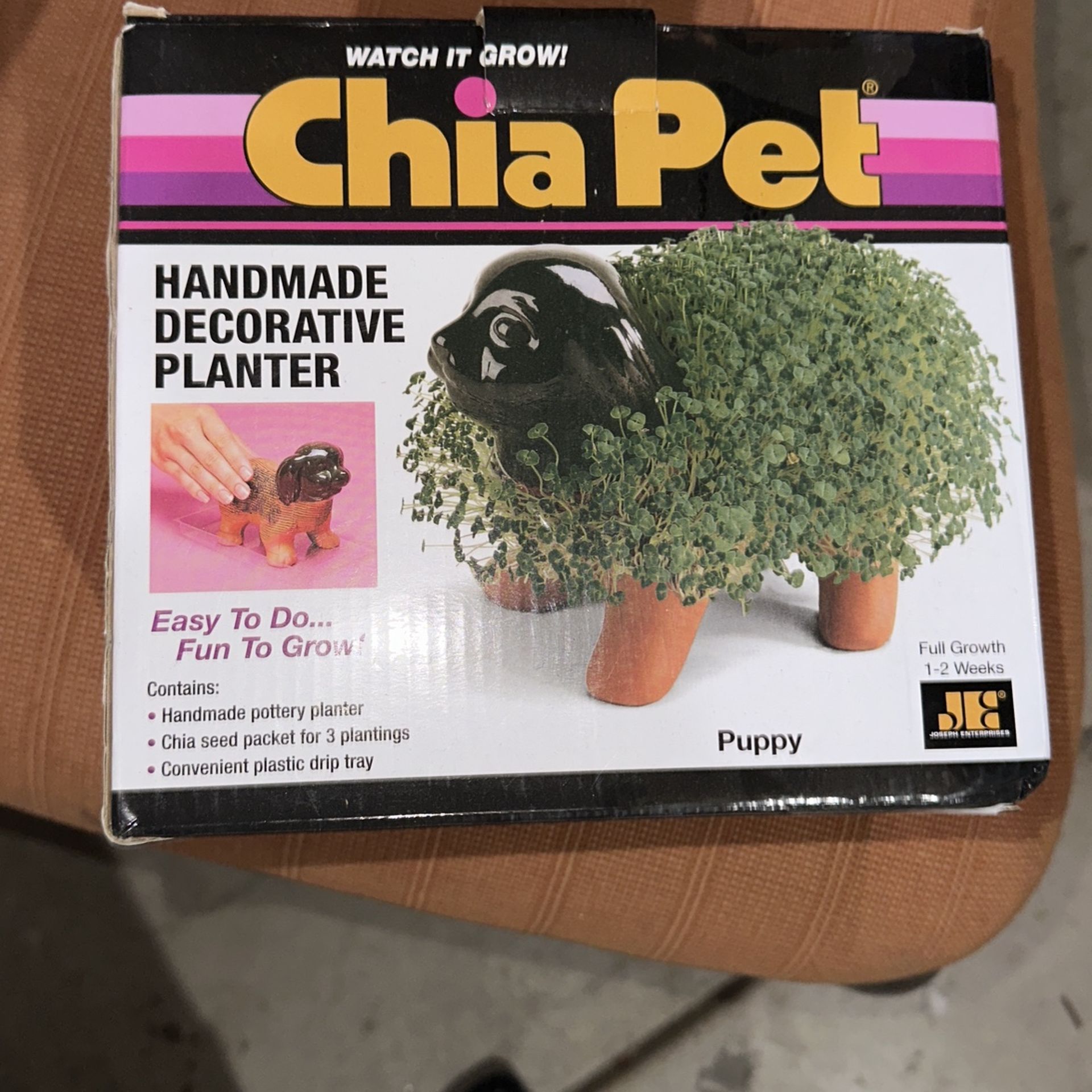 Puppy Chia Pet