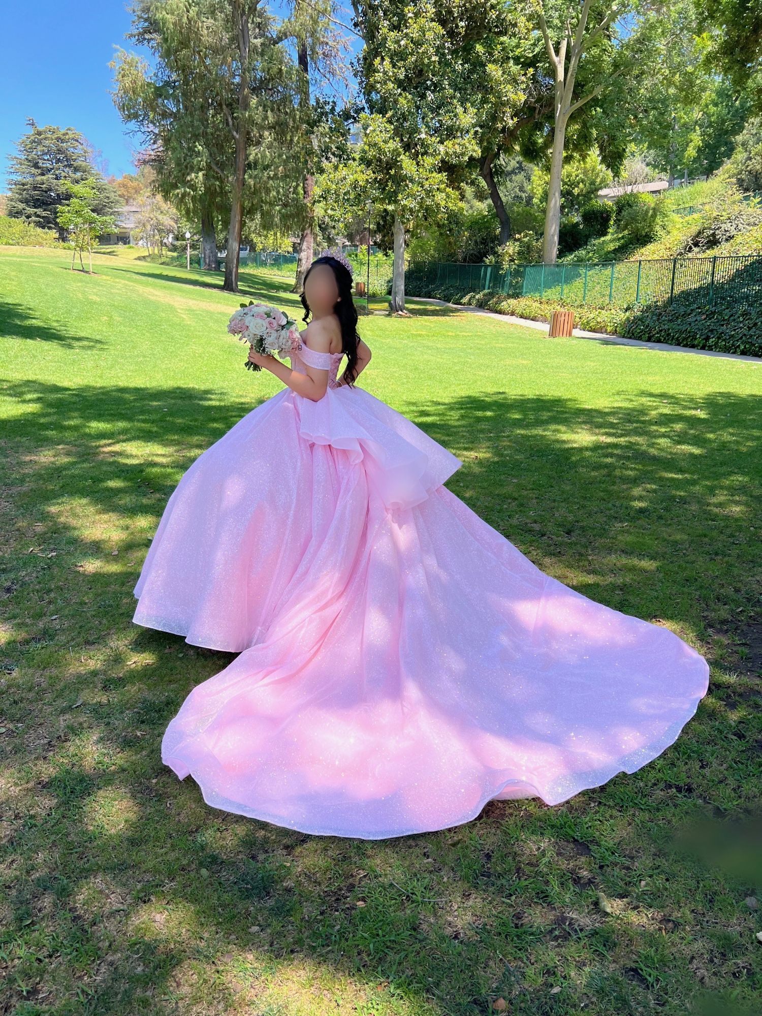 Quinceañera Dress