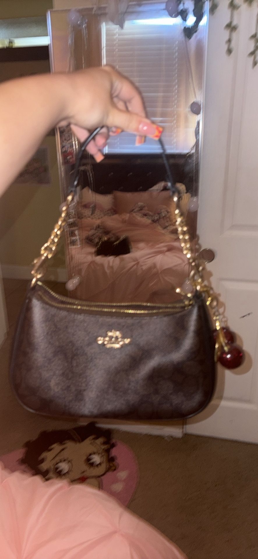 Coach Teri bag