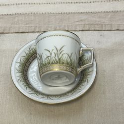 Elegant, German, Porcelain Cup, And Saucer
