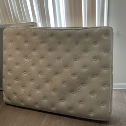 Used Queen Bed + Frame 