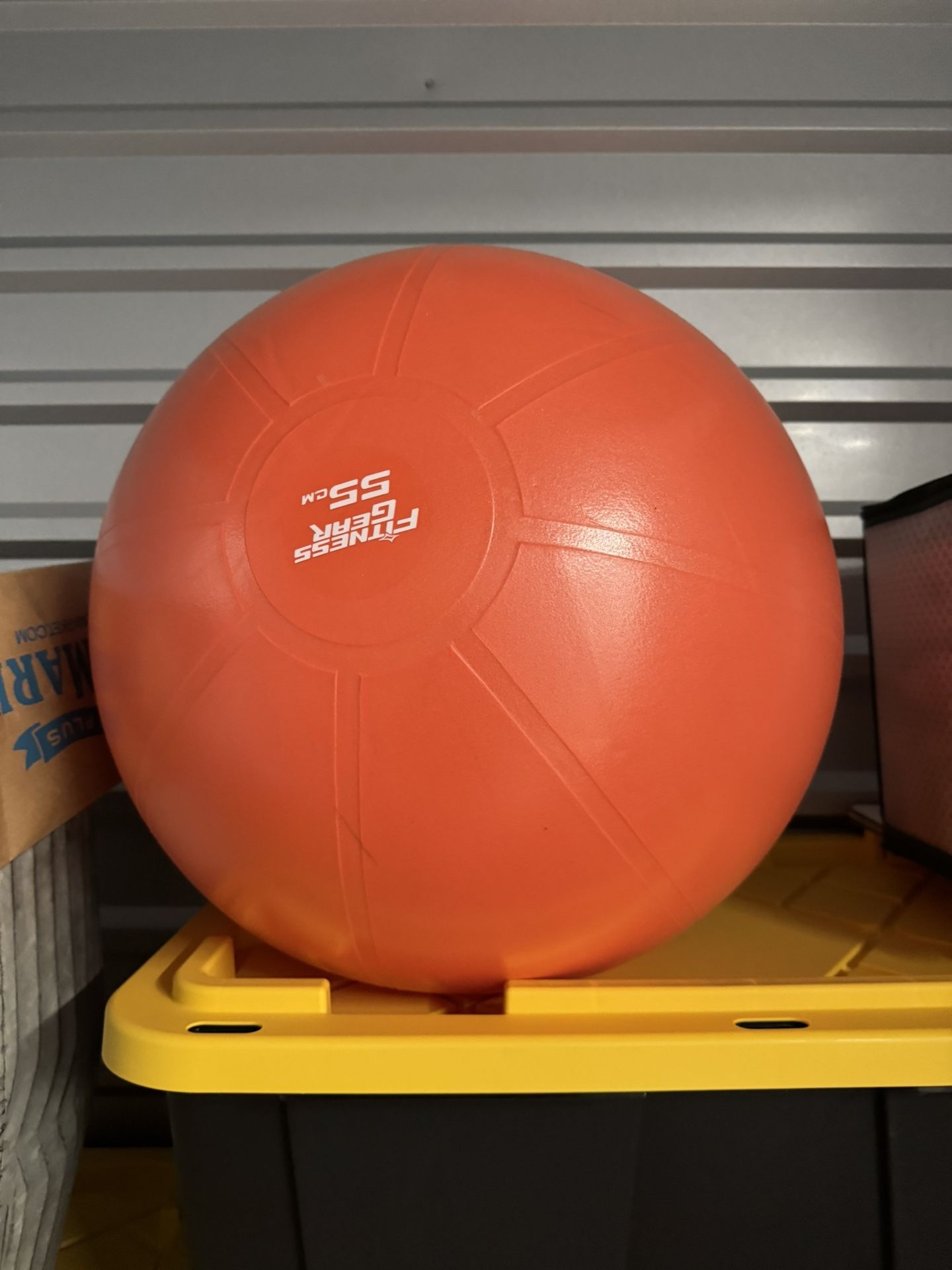 Exercise Ball