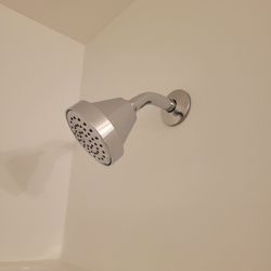 Moen Shower Fixture