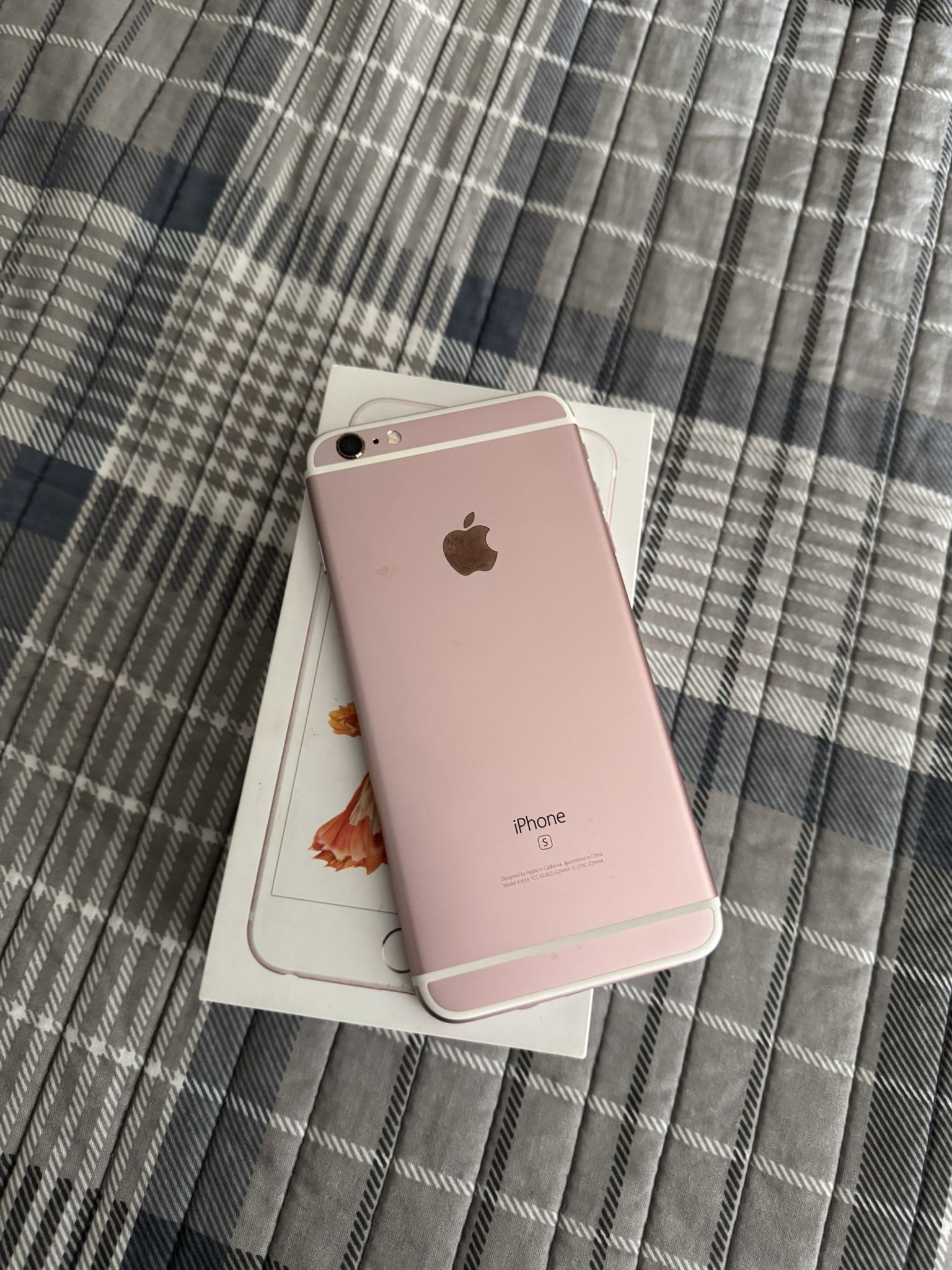 iPhone 6 Plus