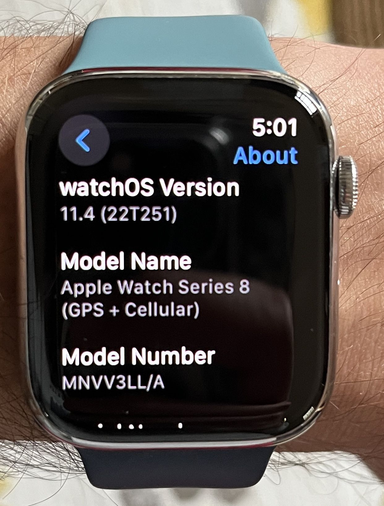 Apple Watch Series 8 45mm Silver Stainless Steel + Cellular LTE Unlocked like new