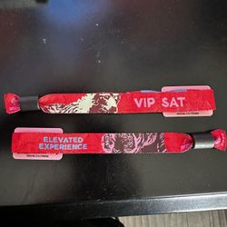 Nocturnal Wonderland 2024 2 Sat VIP Passes