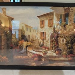 Framed Art Piece 