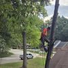 AV tree services