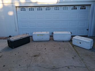 Ice Chest Coolers Igloo Coleman