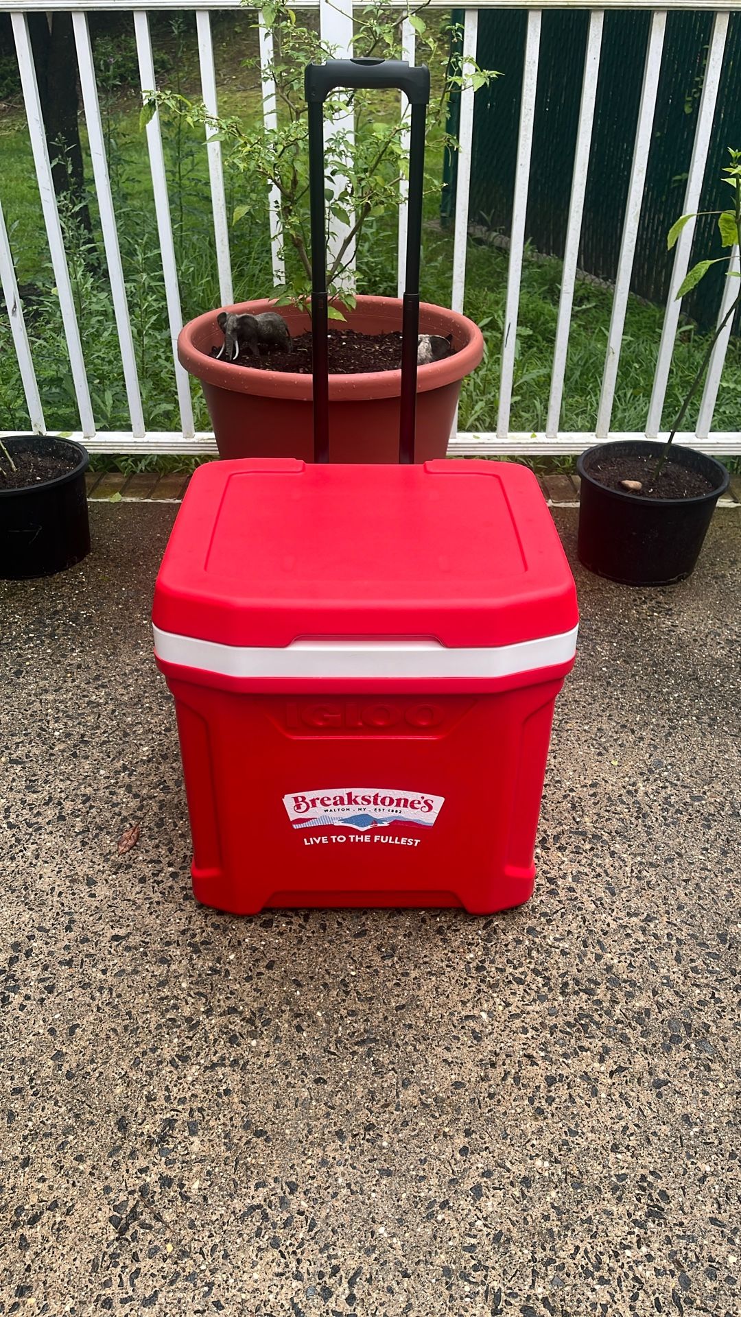 Igloo Cooler with Wheels, Profile II 28 Qt Hard Sided Ice Chest - Portable Insulated Container with Leak-Proof Design for Outdoor Use BRAND NEW