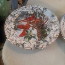 Collectors Wall Plates