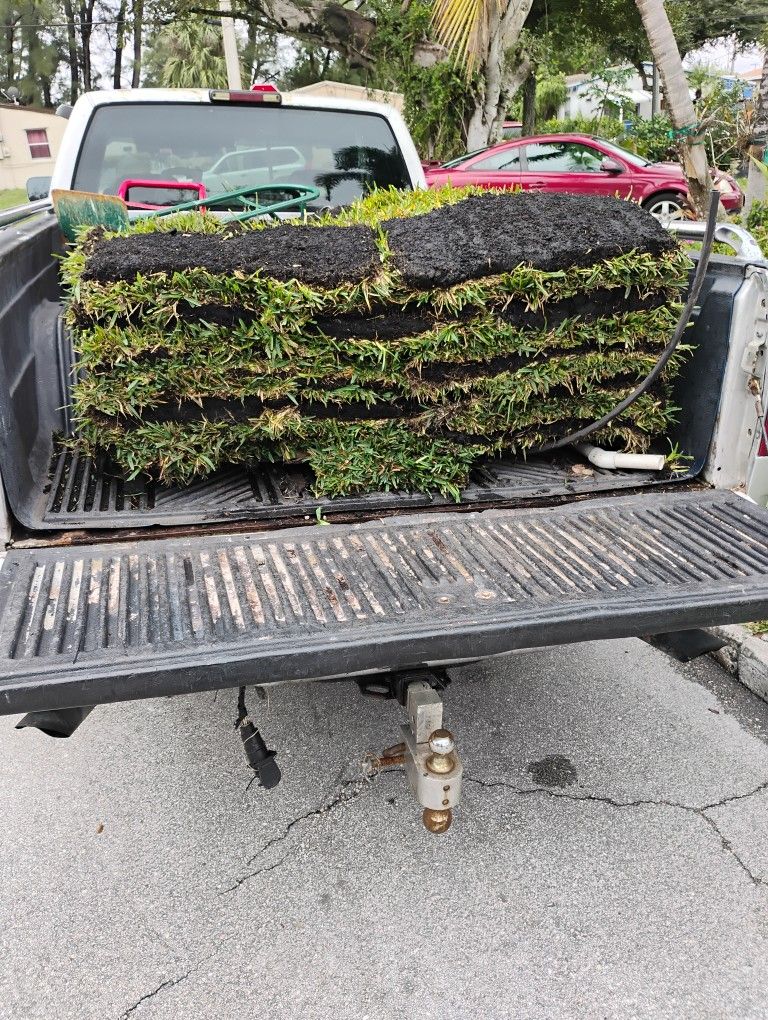 Fresh Grass