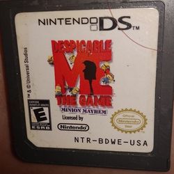 Nintendo DS Game