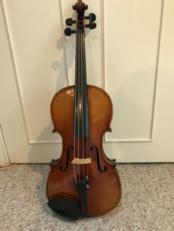 Violin - Professional and Vintage