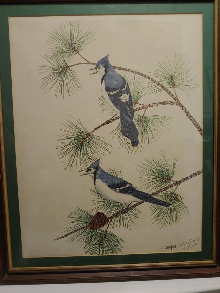 J. Burton signed "Artist Proof"Beautiful Blue Jays painting