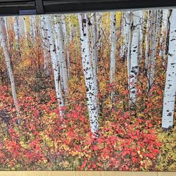 Canvas Art 