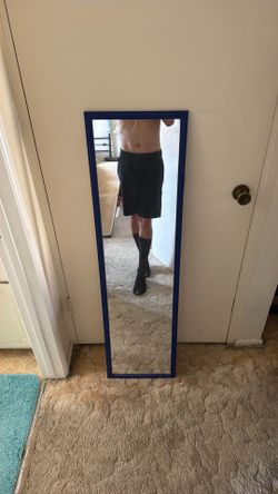Door / Body Mirror