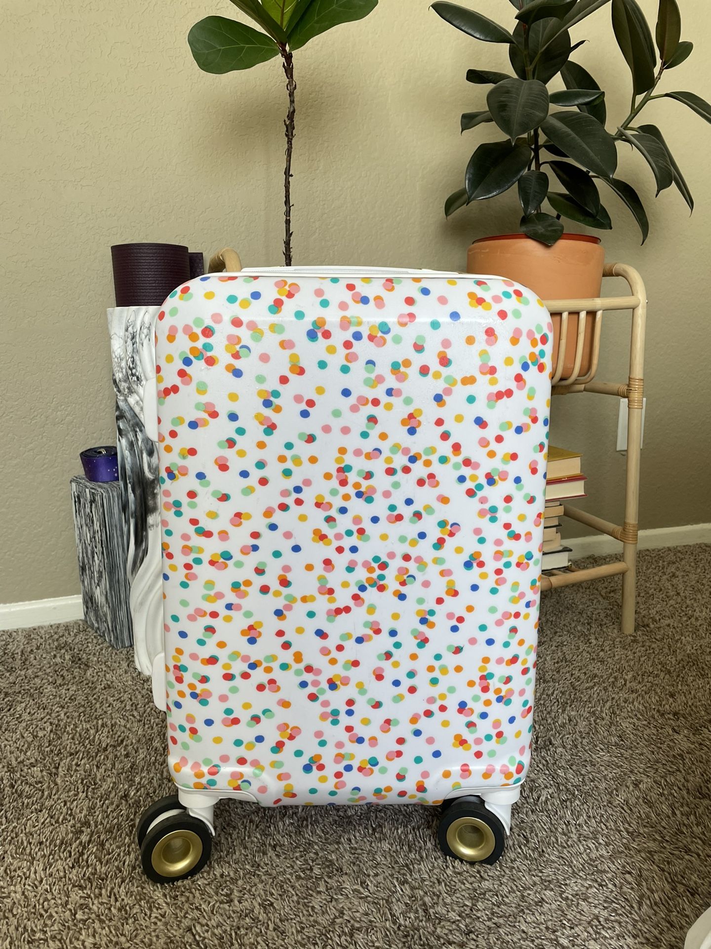 Calpak + Oh Joy Confetti Carry On