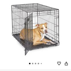 Large Dog Kennel 36” New In  Box