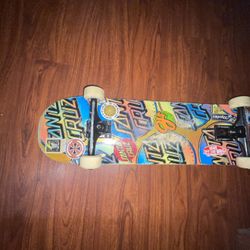 Santa Cruz Skateboard 