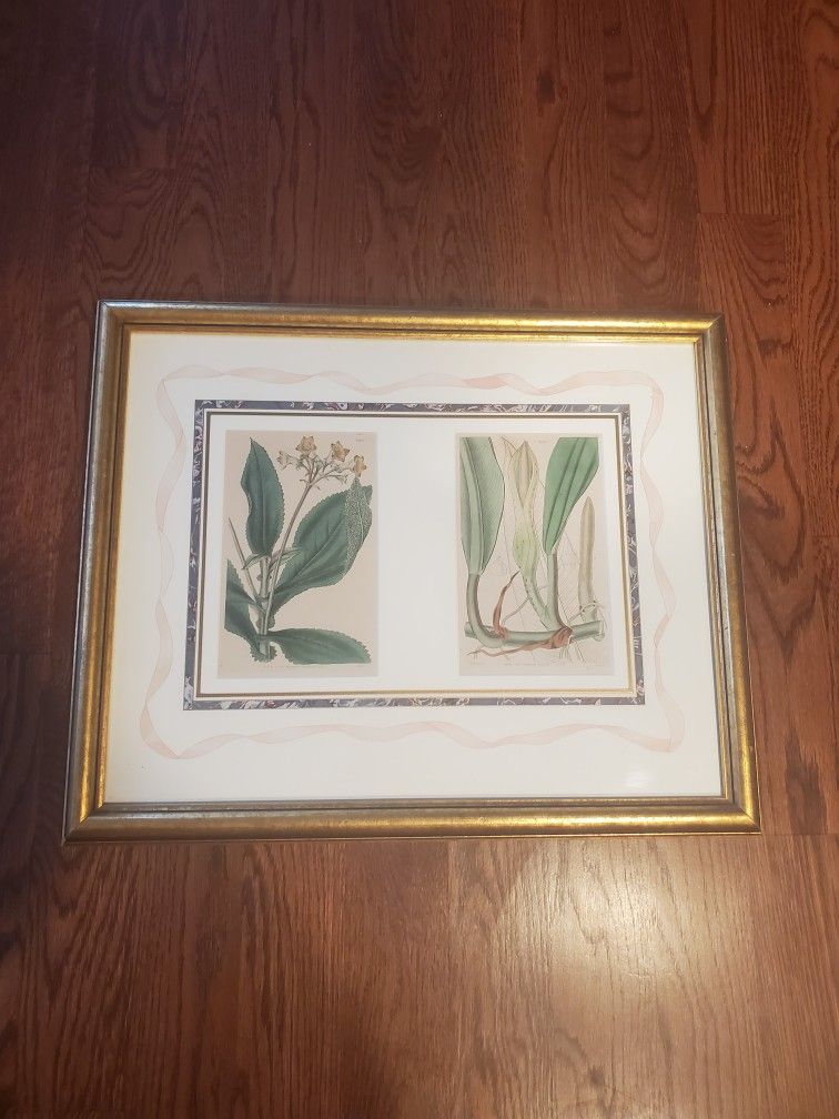 Samuel curtis orginal hand water color on steet engravings art 21.5 x 18