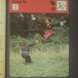 1978 Sportscaster Tiao-tze-ti Kung-Fu Chinese Boxing Martial Arts Sports Photo Large Over-sized Card HTF Collectible Vintage Italy