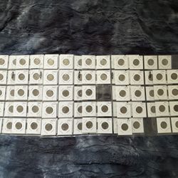 Large Buffalo Nickel Collection