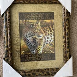 5 Pc Animal Print Wall Art