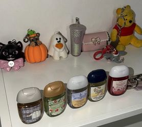 Bath and body sanitizer and holder
