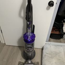 Dyson Ball Animal 2 Vacuum