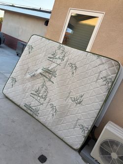 Free mattress
