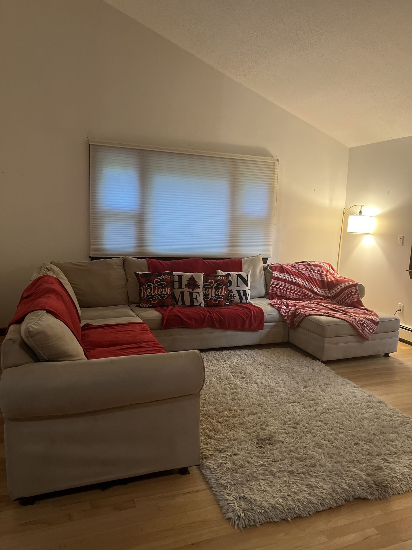 Sectional Couch 