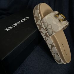 Coach Sandals 8W
