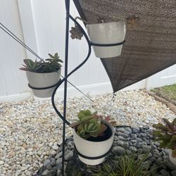 3 Ceramic Pots With Succulents Plants And Hangers 