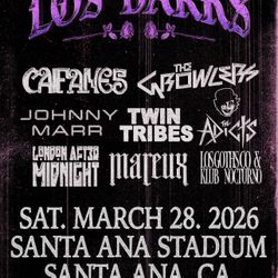 LOS DARKS CAIFANES CONCERT