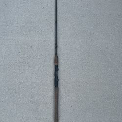 Fishing Spinning  Rod