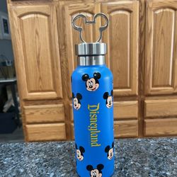 Disney Parks Walt Disney World Mickey Mouse Stainless Steel Water Bottle.  Brand New With Tags On The Bottom 