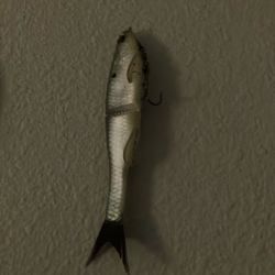 Glide Bait Berkley 