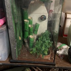 Vivarium For Geckos