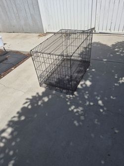 Use cage
