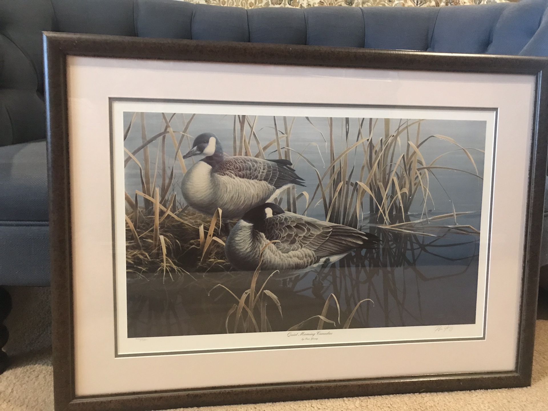 Paco Young signed print of “Quiet Young Canadas” Canadian Geese Local pick up Phoenix