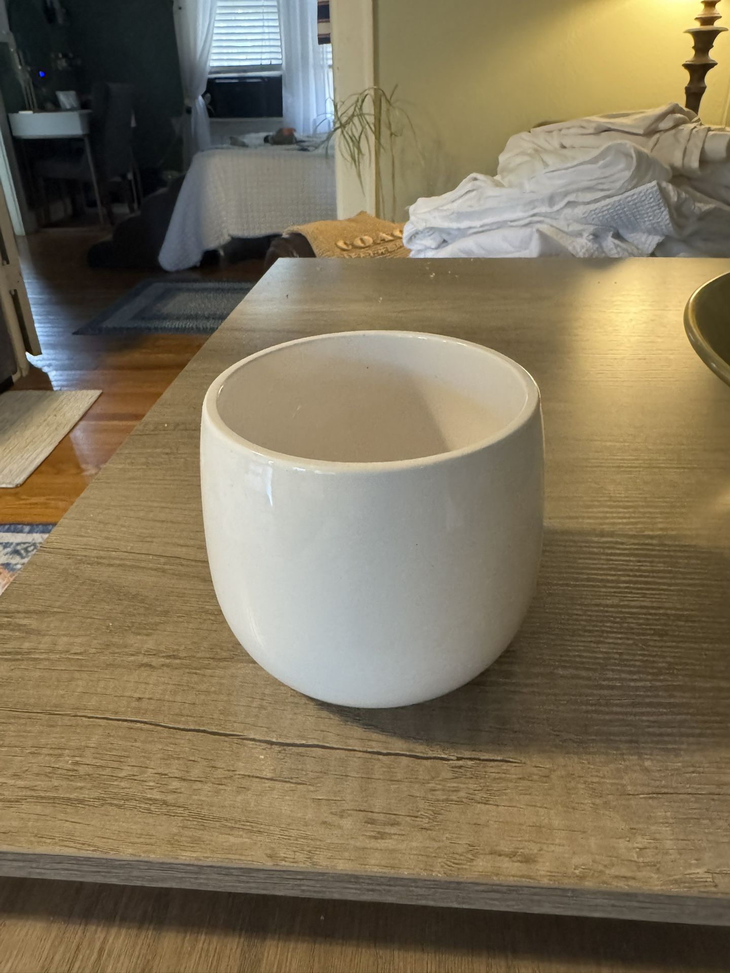 Succulent Pot