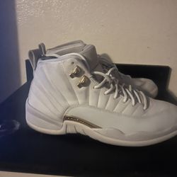 Jordan 12